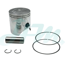 KAWASAKI NINJA Cast Piston
