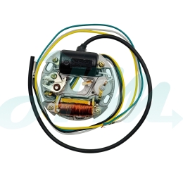 PUCH STATOR