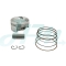KYMCO DOWN TOWN350/K-XCT300i piston