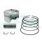 SUZUKI RAIDER FI Cast Piston