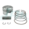 FLAT HEAD Cast Piston