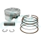 CUSTOMIZED Forged Piston