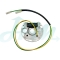 PUCH STATOR