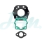 DERBI SENDA 2004 NEW TWO HOLES GASKET