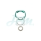 PEUGEOT PEUGEOT100 / SPEEDFIRE100 GASKET