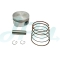 HONDA FORZA250 PISTON SET