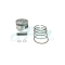 KAWASAKI KLX110 PISTON SET