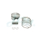KYMCO DINK250 PISTON SET