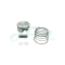 KYMCO DINK300 / X-CTING R300 PISTON SET