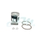 MINARELLI L/C (HORIZONTAL) PISTON SET