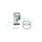 PEUGEOT100 / SPEEDFIRE100 PISTON SET